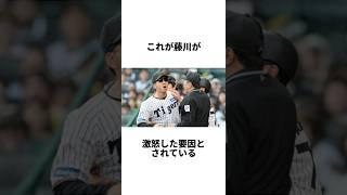 『元チームメイトの新井貴浩と藤川球児の大喧嘩』について　#shorts #プロ野球 #野球 #阪神　#広島　#藤川球児　#新井貴浩　#坂本誠志郎　#岡本駿　#乱闘