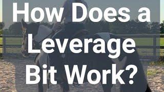 How a Leverage Bit Works