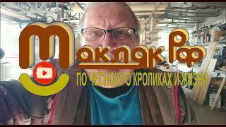 Почему происходит падеж молодняка на откорме Как с этим бороться #Макляк #Макрол