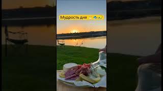 Согласны с утверждением, рыболовы!?  #рыбалка #мудрость #жена
