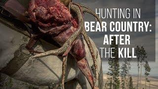 Hunting Tip for Grizzly Bear Country: How to Handle A Carcass After the Kill