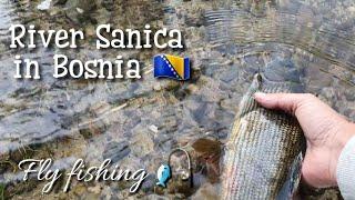 Fly Fishing in Bosnia | River Sanica | Dry fly and euro-nymphing