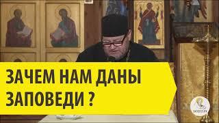 Зачем нам даны заповеди? Священник Олег Стеняев