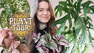 HOUSEPLANT TOUR | My Indoor Plant Collection Winter 2025