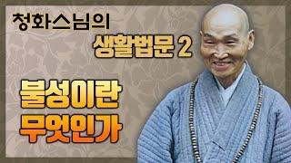 [청화스님 생활법문] 2.불성이란 무엇인가?