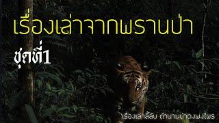 รวมเรื่องเล่าจากพรานป่า ชุดที่ 1 (ฟังยาวๆ 4ชั่วโมง)