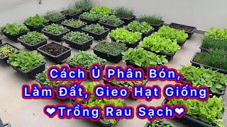 Chia sẻ KINH NGHIỆM trồng rau hữu cơ tại nhà | Organic