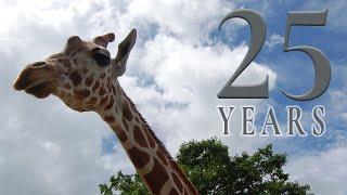 Metro Richmond Zoo - Celebrating 25 Years!