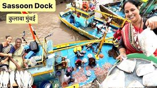 सुपर फ्रेश मासळी मिळायला झाली सुरवात । Sassoon Dock Morning Auction & FishMarket । Marathi Vlog