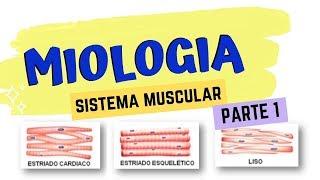 INTRODUÇÃO A MIOLOGIA VETERINÁRIA | Estude Veterinário