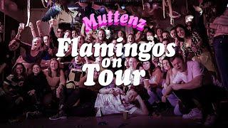 HECHT - Flamingos On Tour - Muttenz / 21.01.23