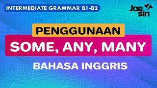 Penjelasan Grammar Bahasa Inggris Lengkap: Perbedaan SOME, ANY, MANY, dan FEW