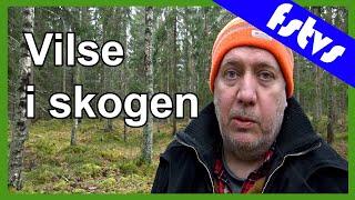 Så hittar du hem om du går vilse i skogen