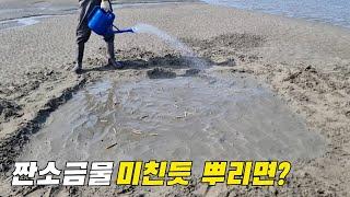 바닷물을 더 짜게 소금타서 뿌리면 어떻게 될까?! Spraying salt water on the mudflats