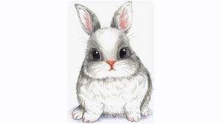 Doms colour pencils drawing , Rabbit drawing for beginners