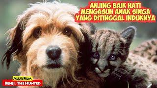 Kisah Anjing Baik Hati Yang Menyelamatkan Anak Singa Dan Mengasuhnya Di Hutan | Alur Cerita Film