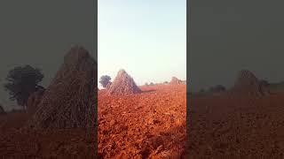 shivam dhakad t r t