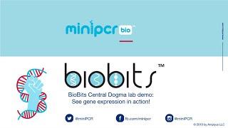 BioBits Central Dogma - Live Demo of Gene Expression