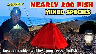 Sea Fishing Dunwich cliffs Beach shore angling Suffolk Coast hectic session (200 fish plus )