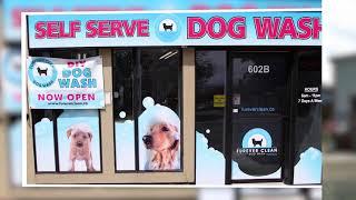 Business examples - K9000 Self Serve Dog Wash Canada