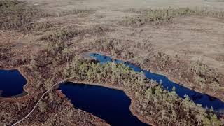 Nigula bog study trail. Estonia