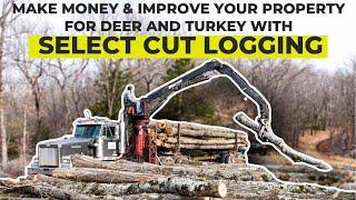 Improve Your Huntin Property With Logging and Get Paid!