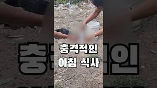  롬복) 여행중 충격적인 식사2가지?! #travel #세계여행 #롬복