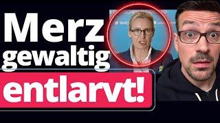 Brisant: Alice Weidel lässt Politbombe platzen!