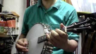 George Washburn Melody Banjo