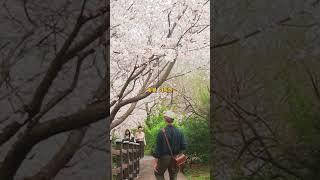 한국에도 이런 사찰이 있습니다! #국내여행지추천