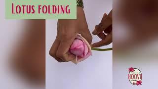 Folding Lotus petals - Box Fold 