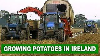 Potato Farming in Ireland ** Documentary by Videos of Irish Farming Life