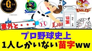 プロ野球史上、1人しかいないであろう苗字が意外な結果にwwwww【なんJ  2ch 5ch プロ野球まとめ 反応集】