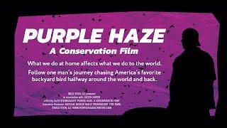 Purple Haze: A Conservation Film