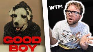 GOOD BOY (2023) is WEIRD and CREEPY!! (MOVIE REACTION) FIRST TIME WATCHING!!!