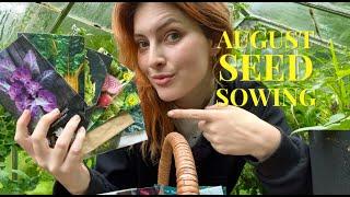 What Seeds to Sow in August - Growing Food All Year Round