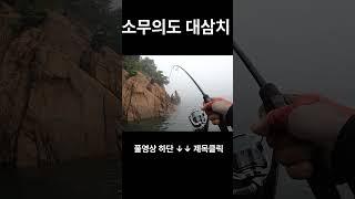 소무의도 대삼치 #fishing#대삼치#쇼어지깅