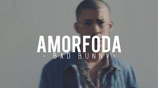 Amorfoda - Bad Bunny [•VIDEO LYRIC•]