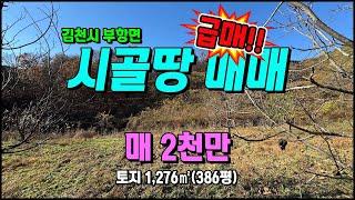 김천토지매매 파천리 과수원(호두나무) 주말농장 시골싼땅매매