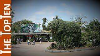 The Top Ten Largest Zoos in the World