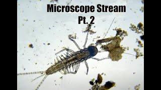 Microscope - Pond, Puddle and Lagoon