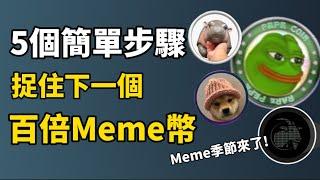 5個簡單步驟，捉住下一個百倍 Meme幣！I 如何找出金狗幣？I 沖百倍 Meme幣必備工具