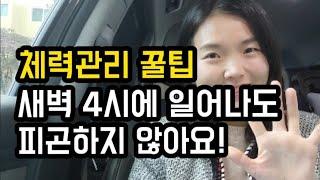 홈스쿨하는 엄마의 체력관리 꿀팁/ 새벽 4시에 일어나도 피곤하지 않은 이유!  새벽기상 미라클모닝 성공 비법/ 홈스쿨맘/ 새벽기상/ 미라클모닝/ 엄마체력관리/엄마자기계발