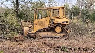 Clearing trees with our oldest Cat!