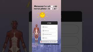 Autonomic nerve plexus of GIT MCQ #anatomy #anatomyandphysiology