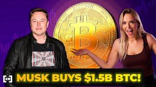 Elon Musk's Bitcoin Pump: Investing or Gambling? | BeInCrypto News