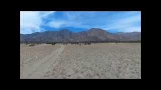 Bebopping around Borrego Springs