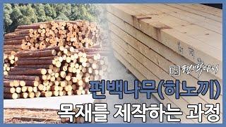 [편백마리] 일본 직수입 편백나무(히노끼) 가공 과정