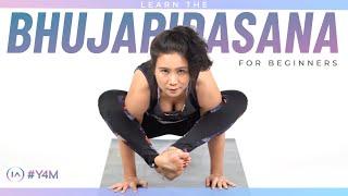 Ashtanga Yoga: Bhujapidasana for Beginners