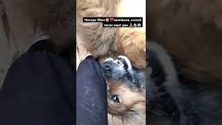 10.05.2025 наводим красоту Никуше)))